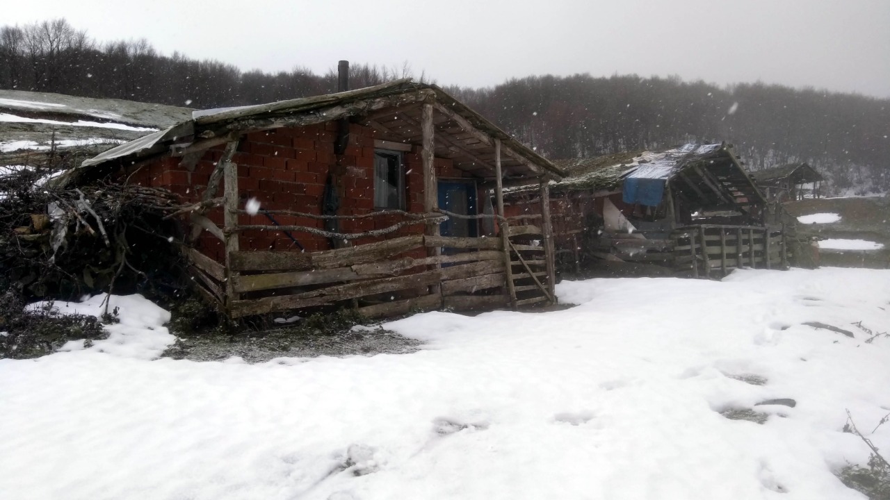 Amasya'da kar yağışı başladı