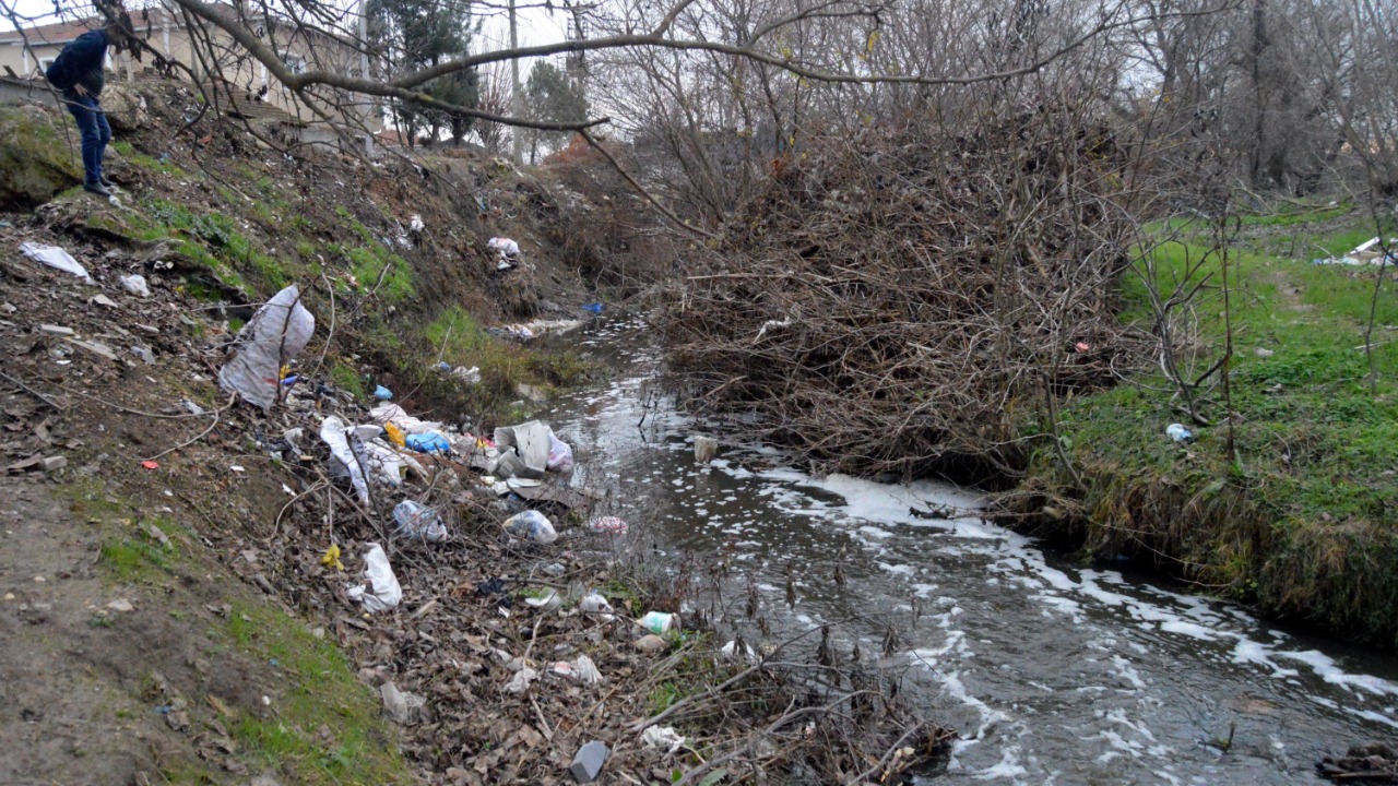 Saranlı Deresi'nde balık ölümlerine inceleme