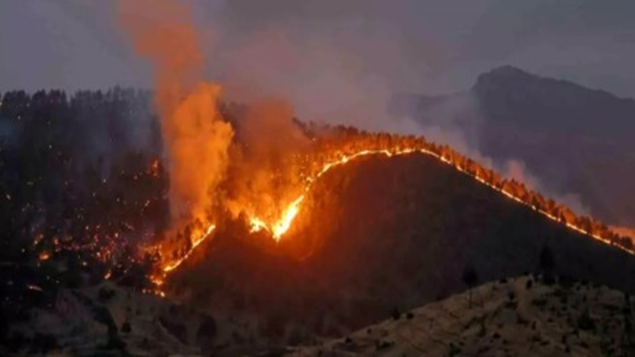 Kahramanmaraş'ta 500 Hektarlık Orman Yandı, Müdahale Hala Devam Ediyor