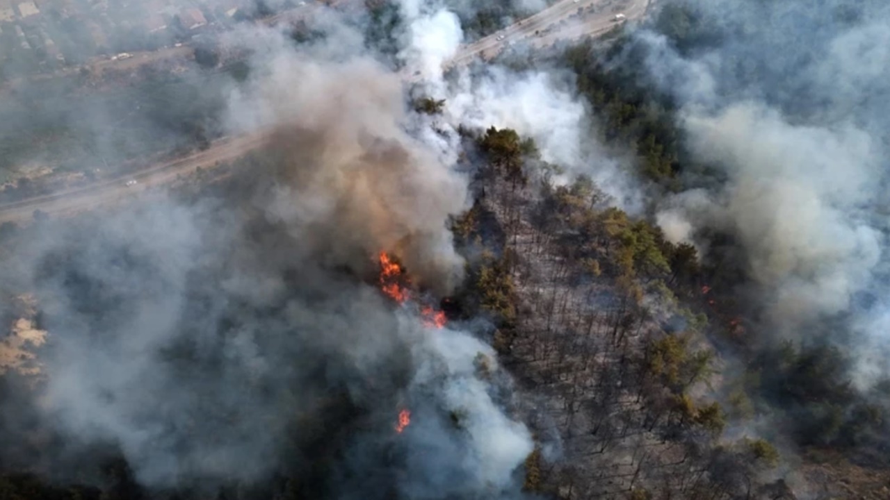 Karabük'te Orman Yangını Alarmı: Alevler Kara Yoluna Yaklaştı