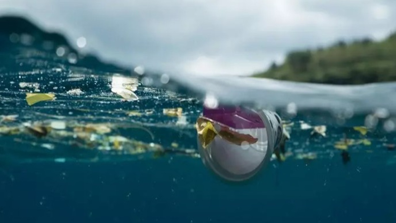 Her Gün Mikroplastik Yutuyorsunuz! Uzmanı Uyardı: 3 Basit Önlemle Tehlikeden Korunabilirsiniz