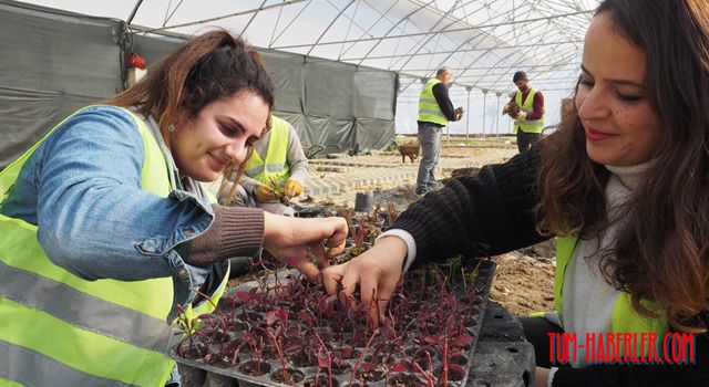 Hatay Büyükşehir üretiyor, şehir güzelleşiyor!