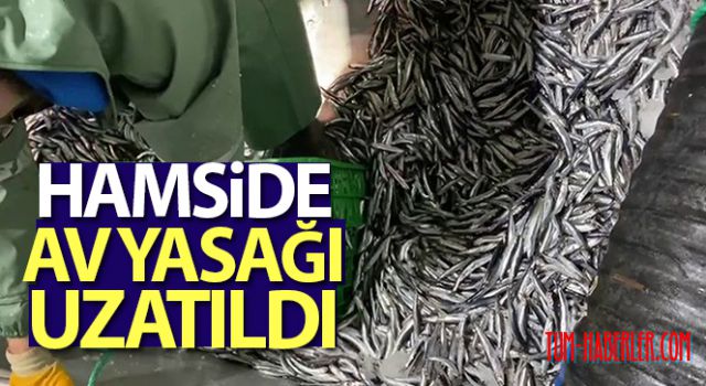 Hamsi avcılığına kısmi durdurma 7 Şubat'a kadar uzatıldı