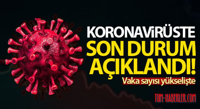 Türkiye'de son 24 saatte 7.795 koronavirüs vakası tespit edildi