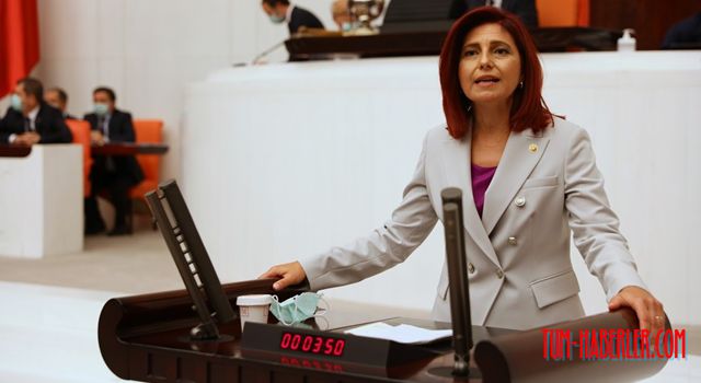 CHP Milletvekili Emecan: Konteyner krizi nedeniyle ihracattaki kayıp ne kadar?