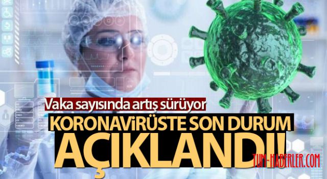Türkiye'de son 24 saatte 8.102 koronavirüs vakası tespit edildi