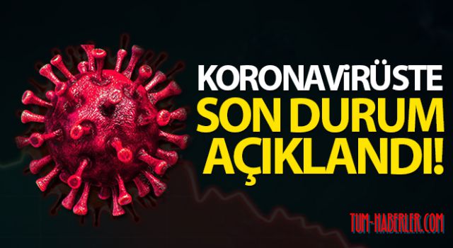 Türkiye'de son 24 saatte 7.909 koronavirüs vakası tespit edildi