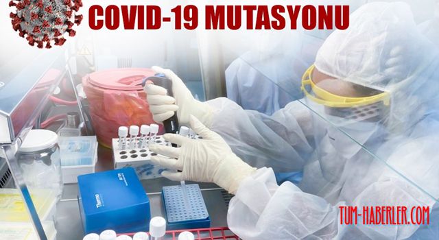 KKTC’de mutasyonlu virüs saptandı!