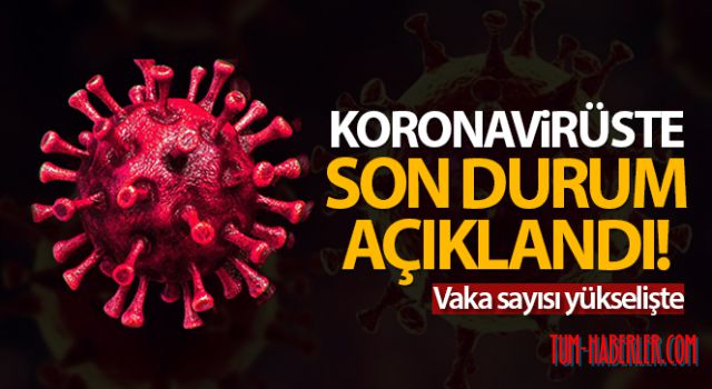 Türkiye'de son 24 saatte 8.103 koronavirüs vakası tespit edildi