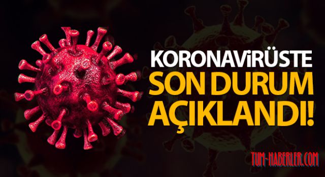 Türkiye'de son 24 saatte 8.642 koronavirüs vakası tespit edildi