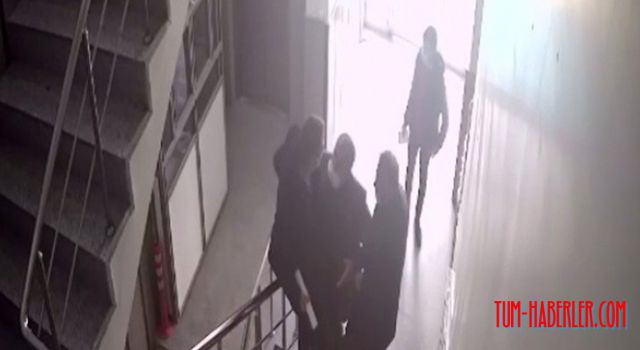 HDP'li meclis üyesi resmi mühürlü belgeleri çoğalttı, ortalığı karıştırdı