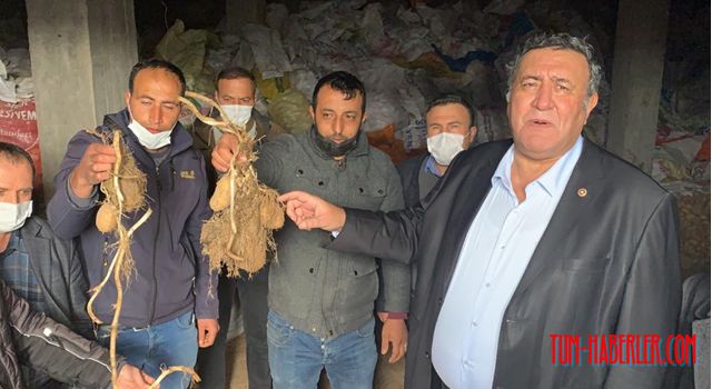 Gürer: Patates üreticisi ‘Yandım’ diye feryat ediyor