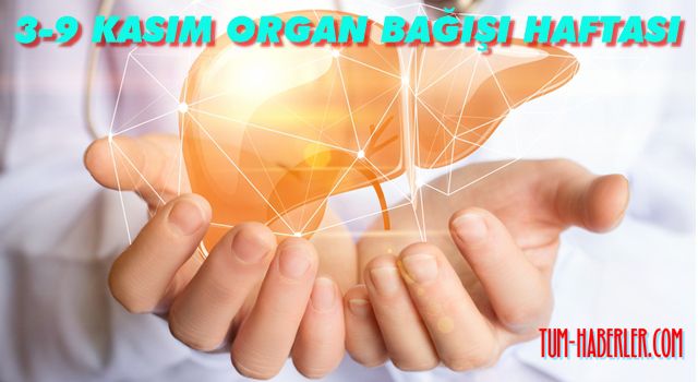 Her yıl yaklaşık 500 çocuk karaciğer nakli bekliyor